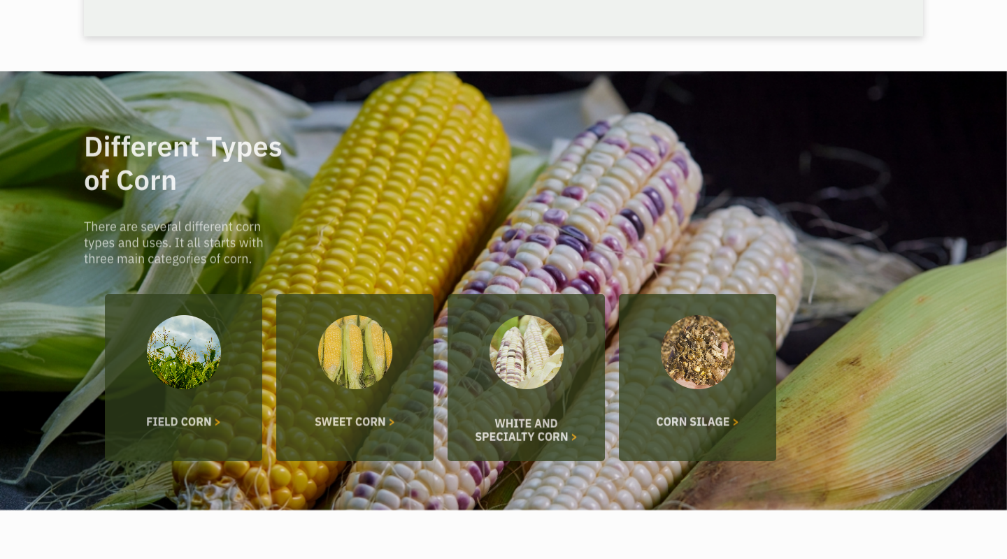 Typesofcorn