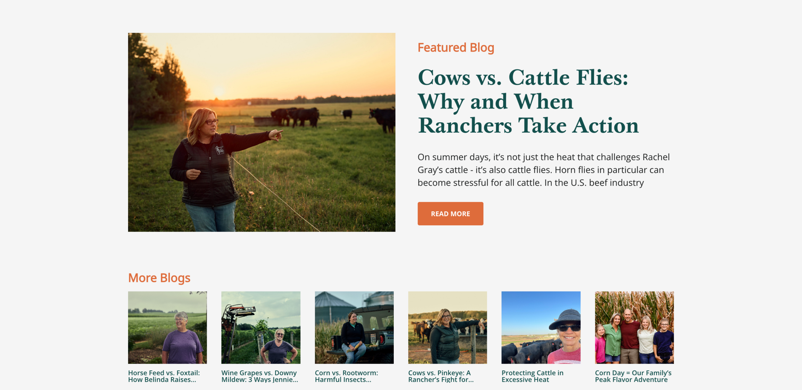 CommonGroundfeaturedblogsection