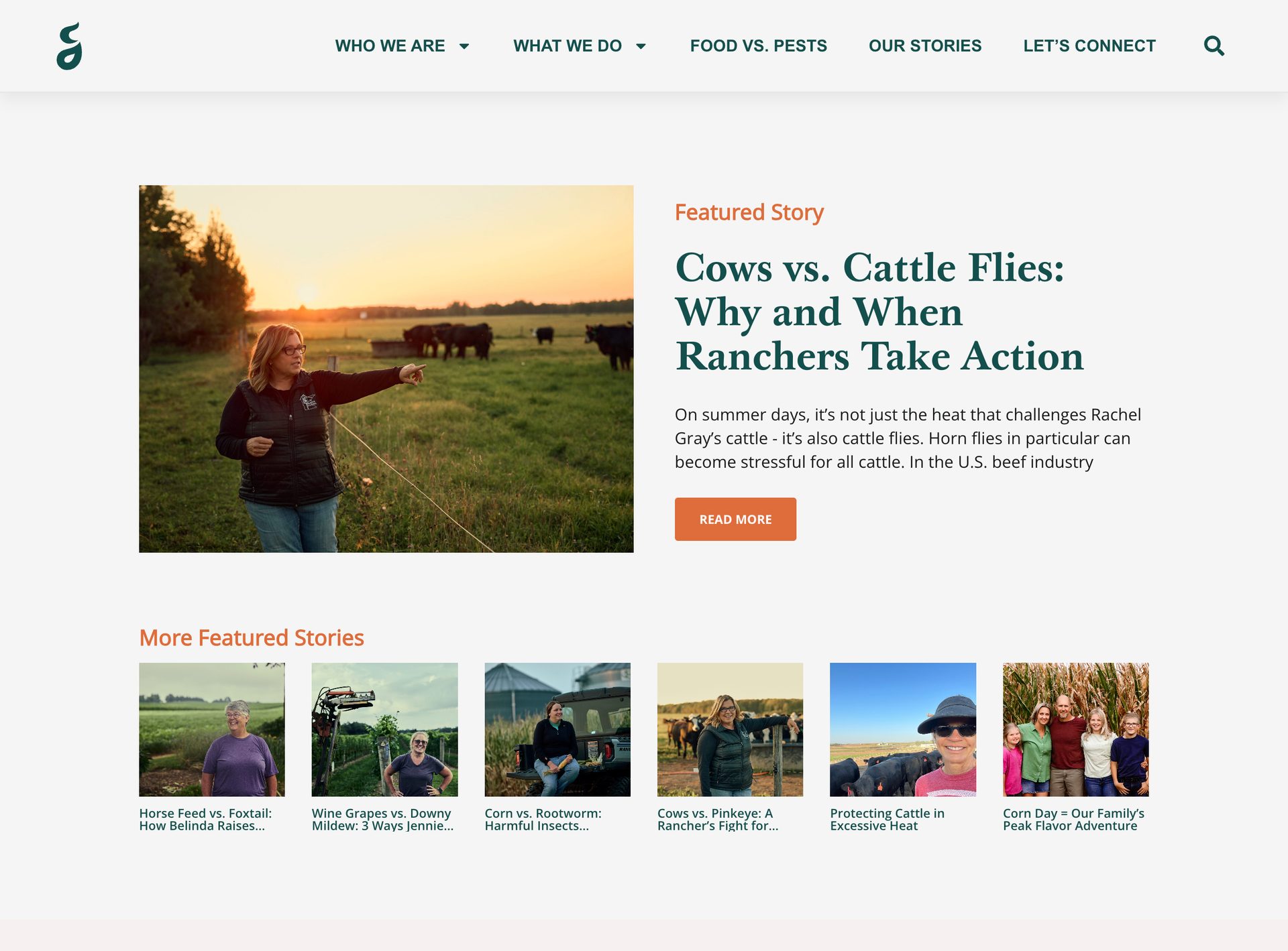 Web stranica CommonGrounda, desktop prikaz 1