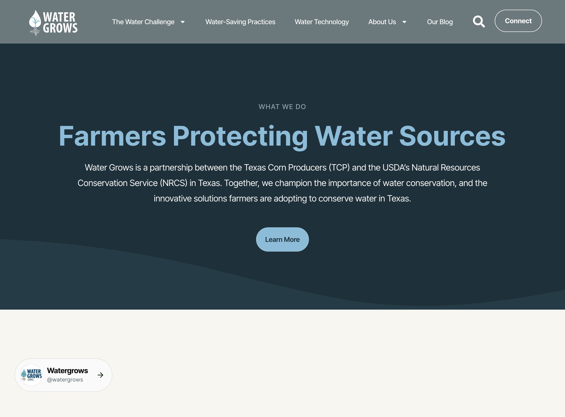 Water Grows website, desktop view 2