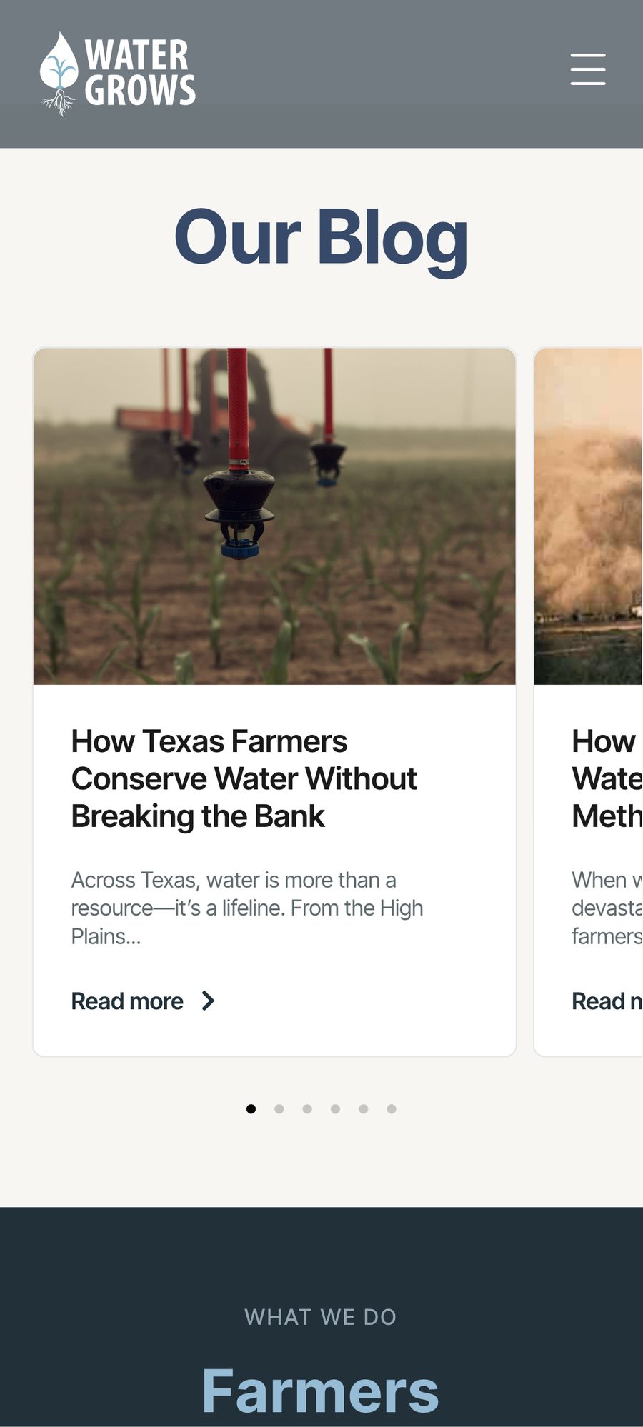 Water Grows website, mobile view 4