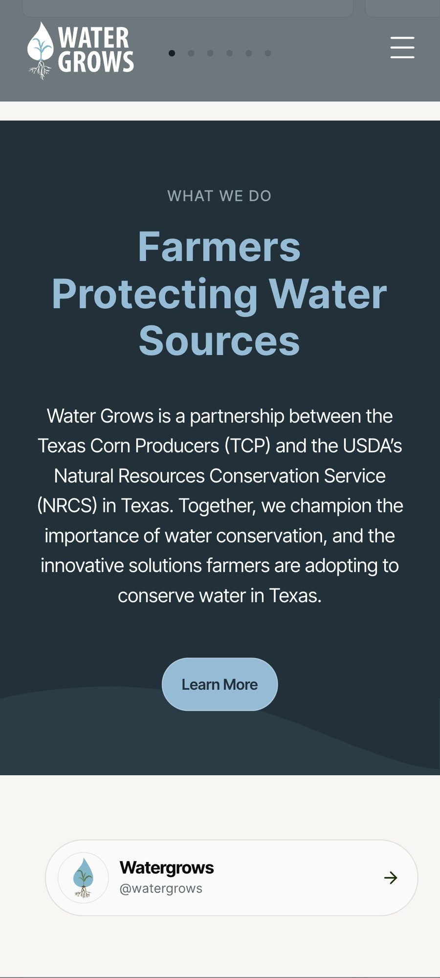 Water Grows website, mobile view 6